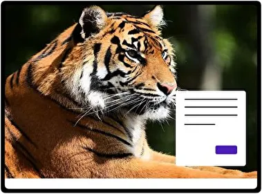Tiger theme for Windows 11
