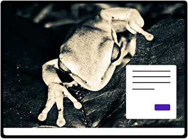 Tree Frog theme for Windows 11