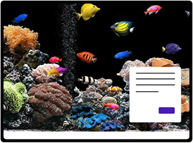 Tropical Fish theme for Windows 11