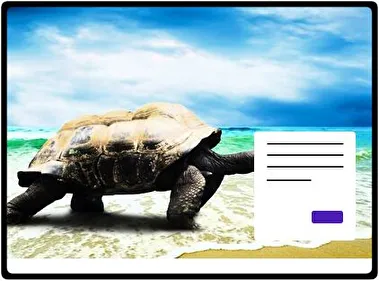 Turtle theme for Windows 11