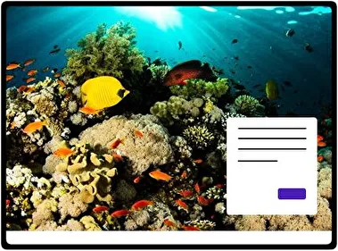 Underwater theme for Windows 11