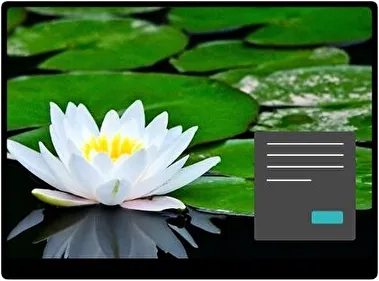 Water Lily Dark theme for Windows 11