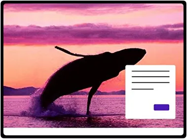 Whale theme for Windows 11