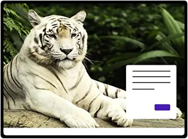 White Tiger theme for Windows 11