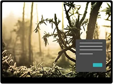 Winter Wood Dark theme for Windows 11