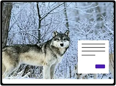 Wolves theme for Windows 11