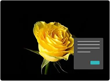 Yellow Flowers Dark theme for Windows 11