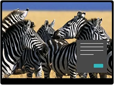 Zebra Dark theme for Windows 11