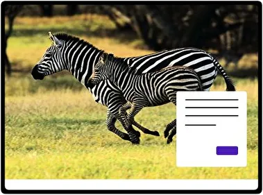 Zebra theme for Windows 11