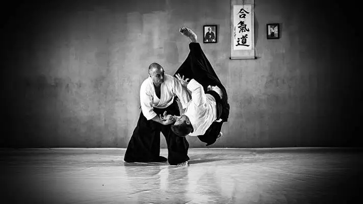 Aikido theme for Windows 11 Slideshow image 1