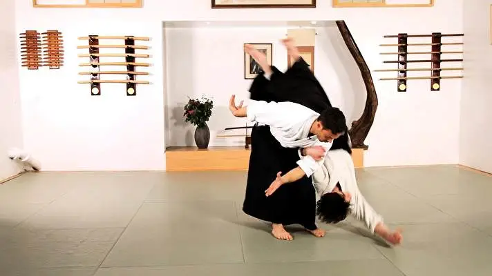 Aikido theme for Windows 11 Slideshow image 4