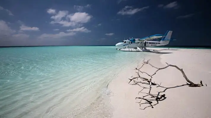 Airplane theme for Windows 11 Slideshow image 2