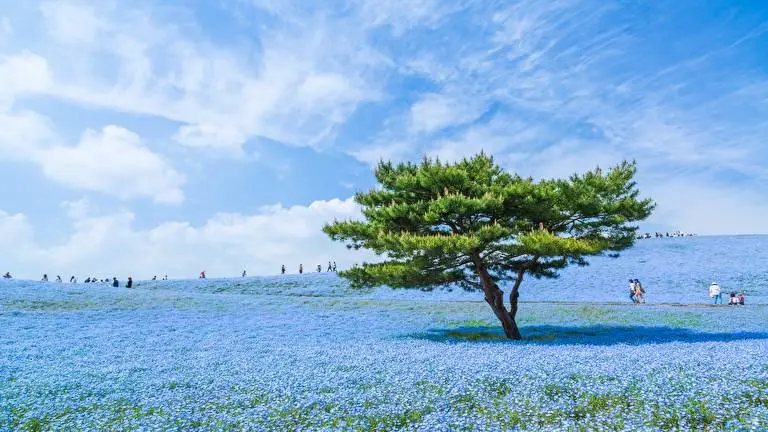 Amazing Places theme for Windows 11 Slideshow image 2