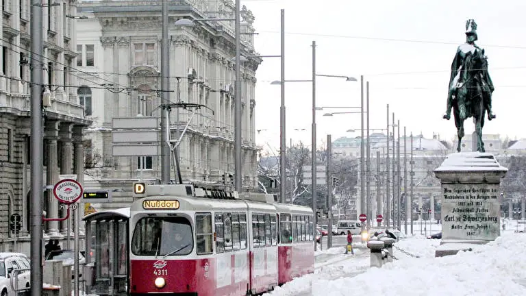 Beautiful Vienna theme for Windows 11 Slideshow image 2