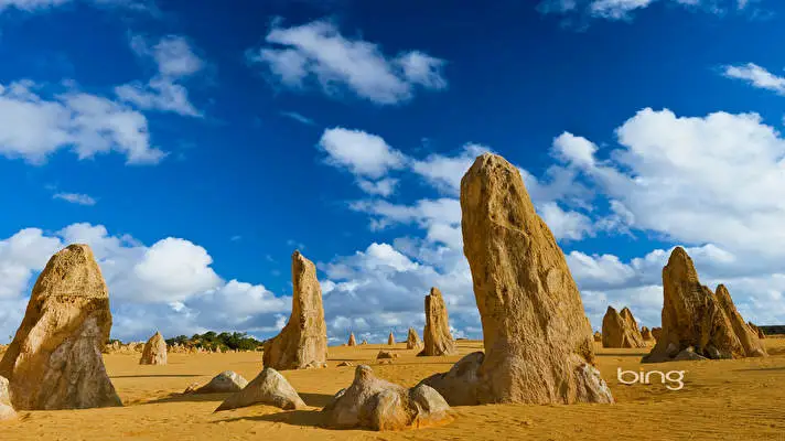 Bing theme for Windows 11 Slideshow image 4