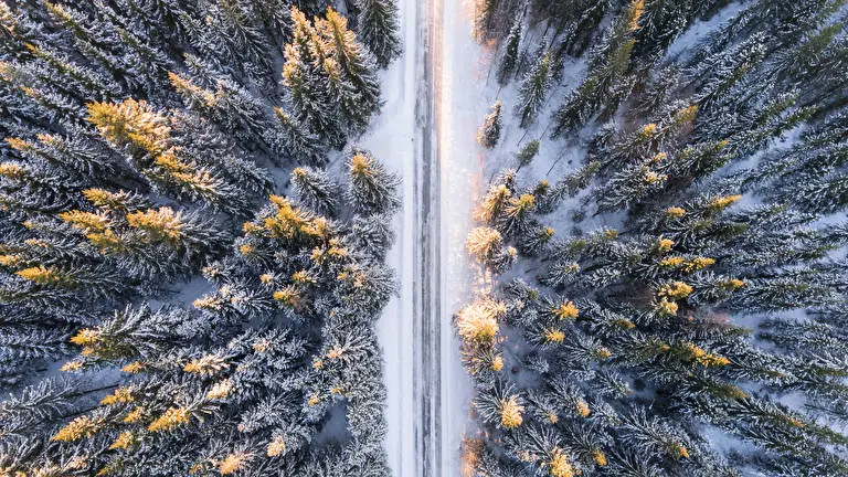 Birds Eye View theme for Windows 11 Slideshow image 1