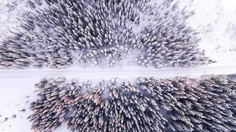 Birds Eye View theme for Windows 11 Slideshow image 3