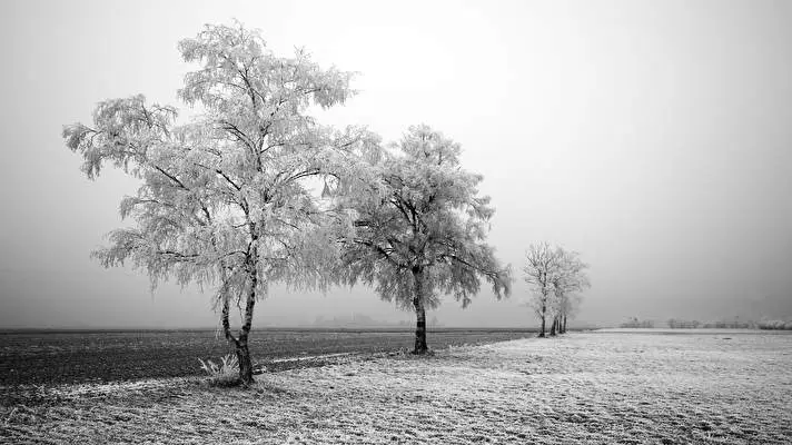 Black and White Dark theme for Windows 11 Slideshow image 4