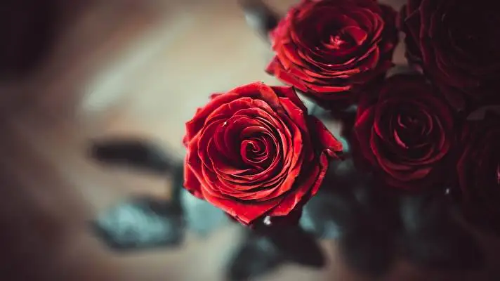 Cool 4K theme for Windows 11 Slideshow image 4