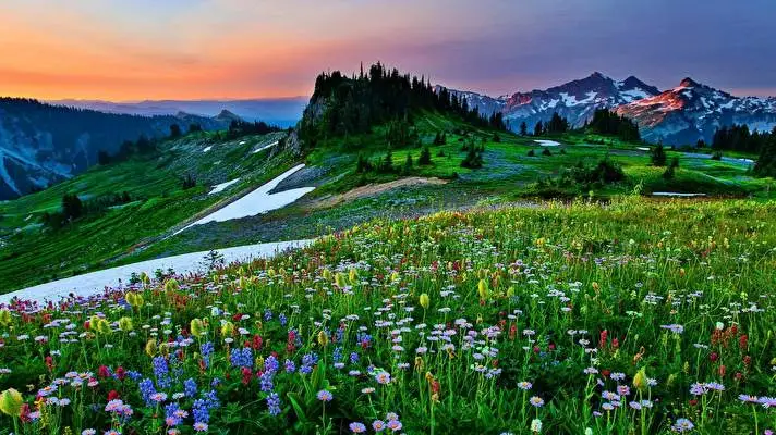 First Day Spring theme for Windows 11 Slideshow image 5