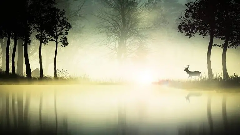 Foggy Forest theme for Windows 11 Slideshow image 5