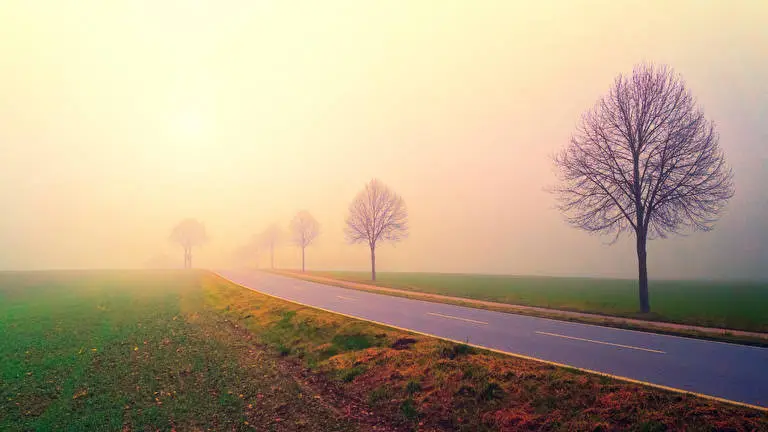 Foggy Roads theme for Windows 11 Slideshow image 2