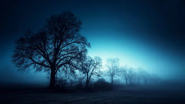 Foggy Roads theme for Windows 11 Slideshow image 3