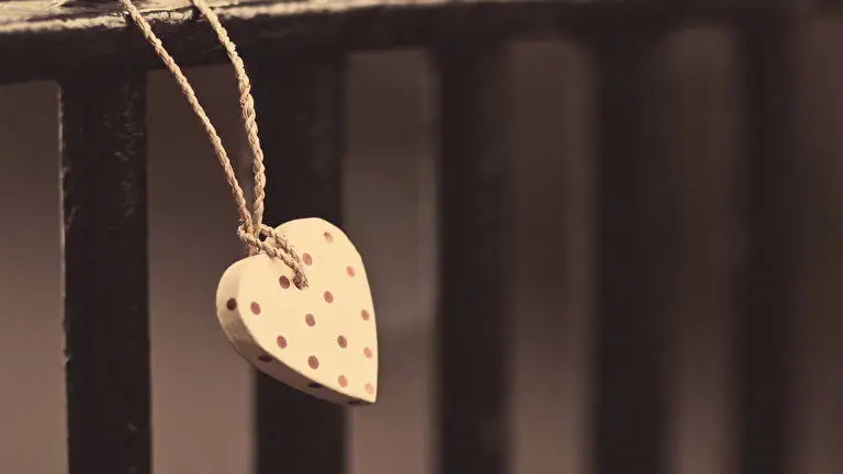 Gift theme for Windows 11 Slideshow image 3