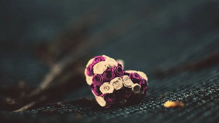 Gift theme for Windows 11 Slideshow image 4