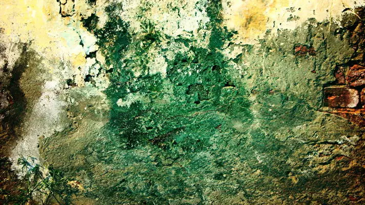 Grunge theme for Windows 11 Slideshow image 2