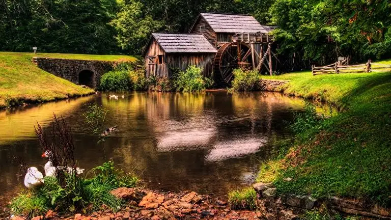 House in the Wood theme for Windows 11 Slideshow image 4