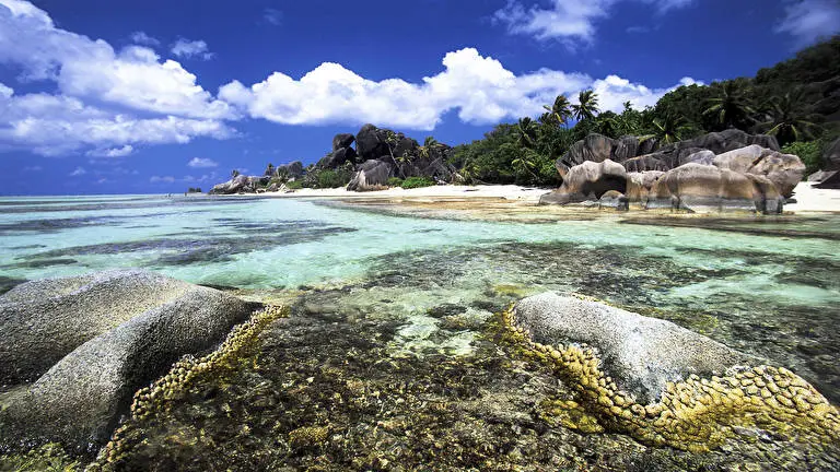 Islands Dark theme for Windows 11 Slideshow image 1