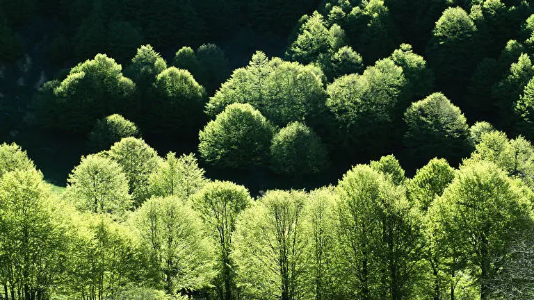 Italy theme for Windows 11 Slideshow image 2