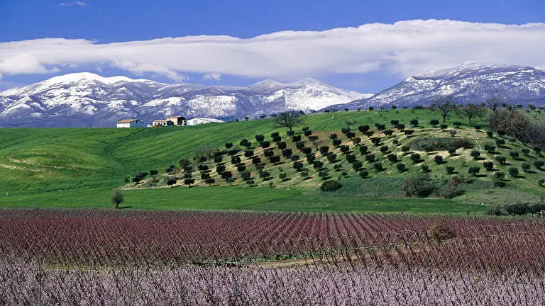 Italy theme for Windows 11 Slideshow image 4