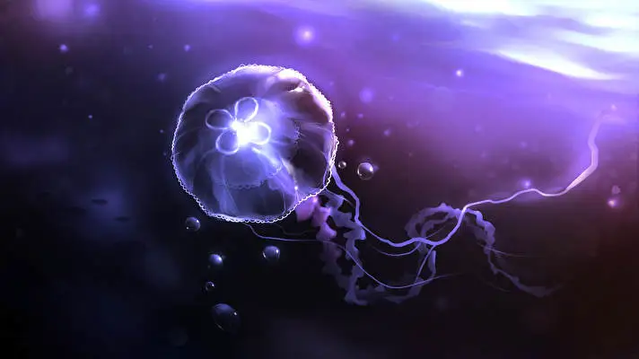 Jellyfish theme for Windows 11 Slideshow image 3