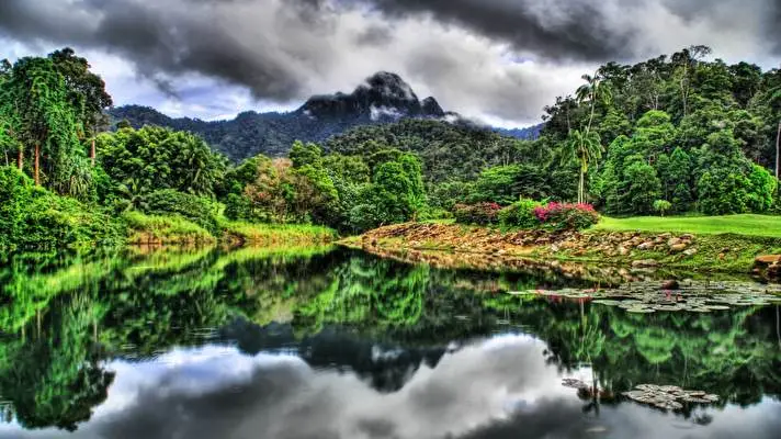 Jungle theme for Windows 11 Slideshow image 2