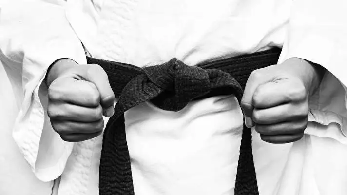 Karate theme for Windows 11 Slideshow image 1