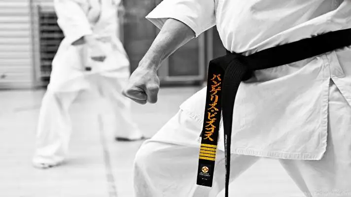Karate theme for Windows 11 Slideshow image 3