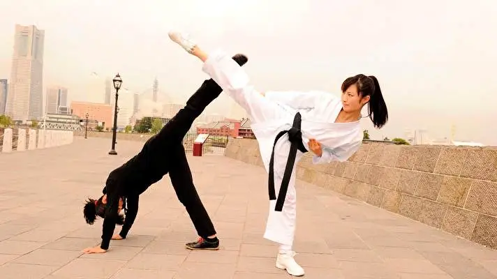 Karate theme for Windows 11 Slideshow image 4