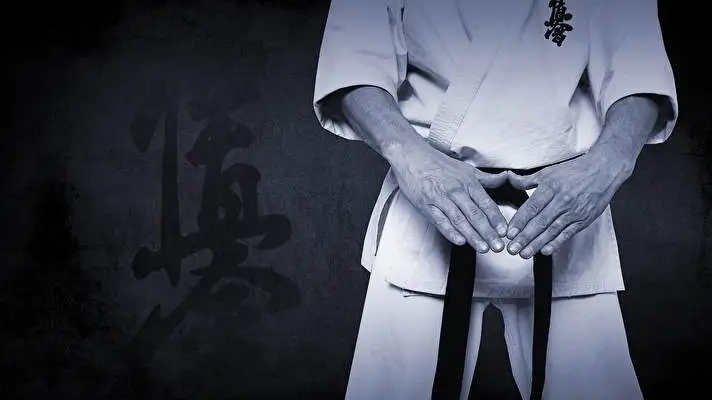 Karate theme for Windows 11 Slideshow image 5