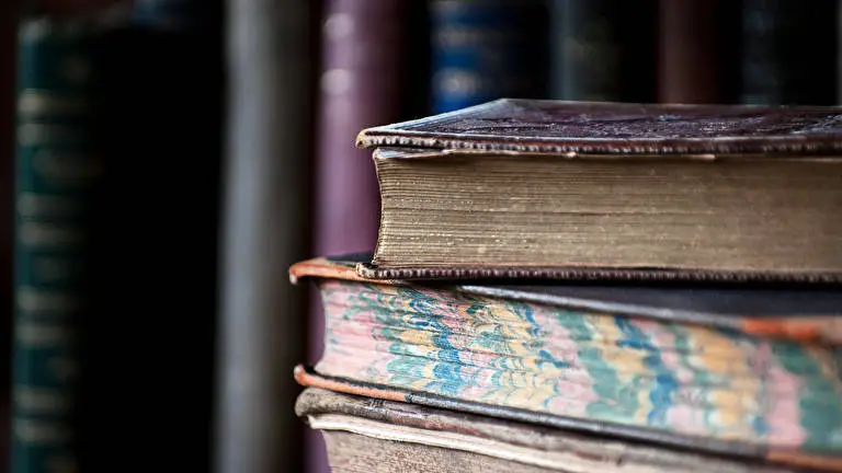 Library theme for Windows 11 Slideshow image 3