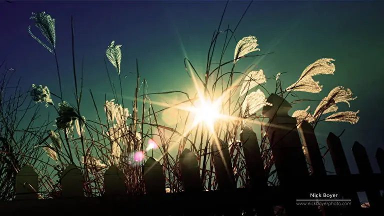 Light And Dark theme for Windows 11 Slideshow image 3