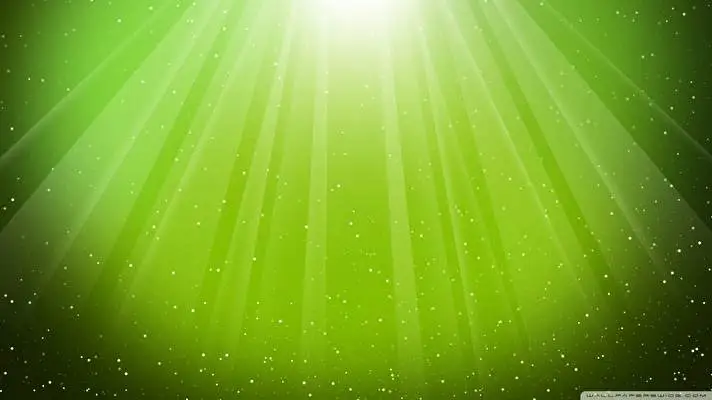 Lime Green theme for Windows 11 Slideshow image 2