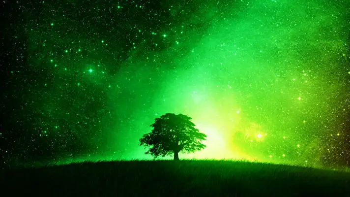 Lime Green theme for Windows 11 Slideshow image 3