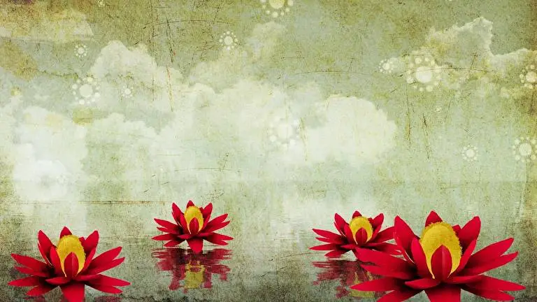 Lotus Flower theme for Windows 11 Slideshow image 2