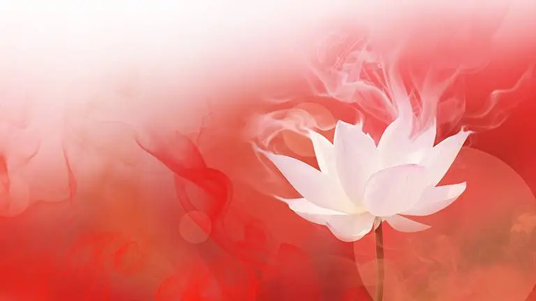 Lotus Flower theme for Windows 11 Slideshow image 4