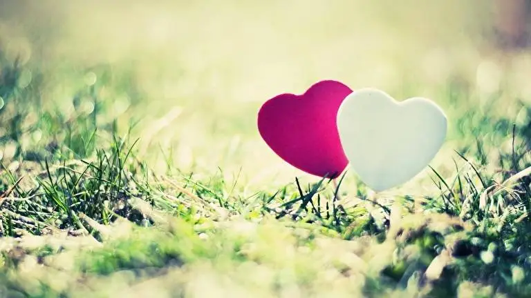 Love theme for Windows 11 Slideshow image 2