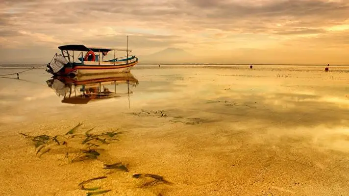 Mexico Dark theme for Windows 11 Slideshow image 1