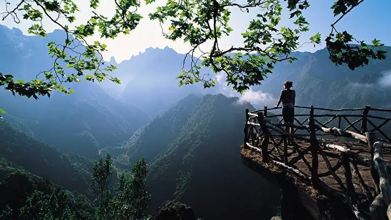 Nature HD theme for Windows 11 Slideshow image 3