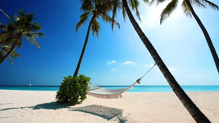 Paradise theme for Windows 11 Slideshow image 3